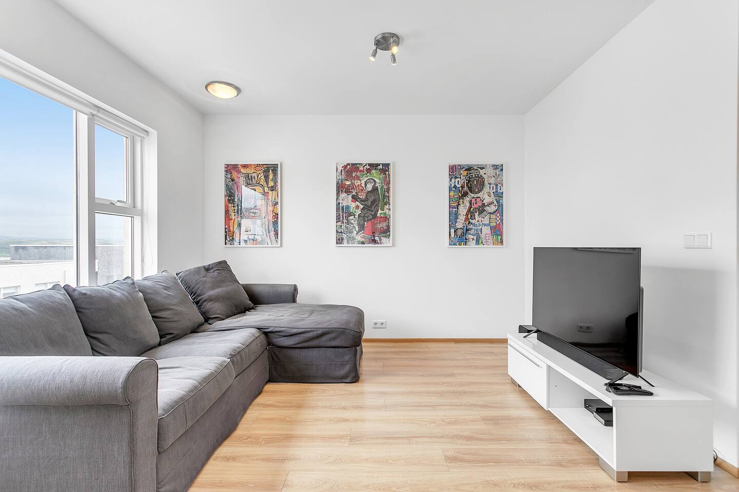 Living Room with sofa and TV