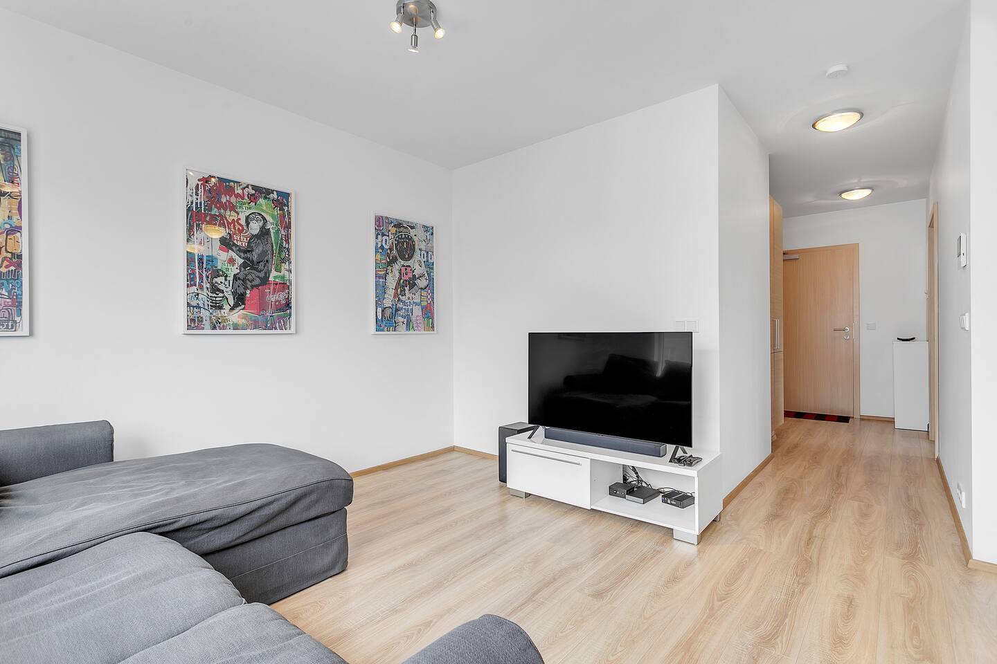 Living Room with artwork and natural light
